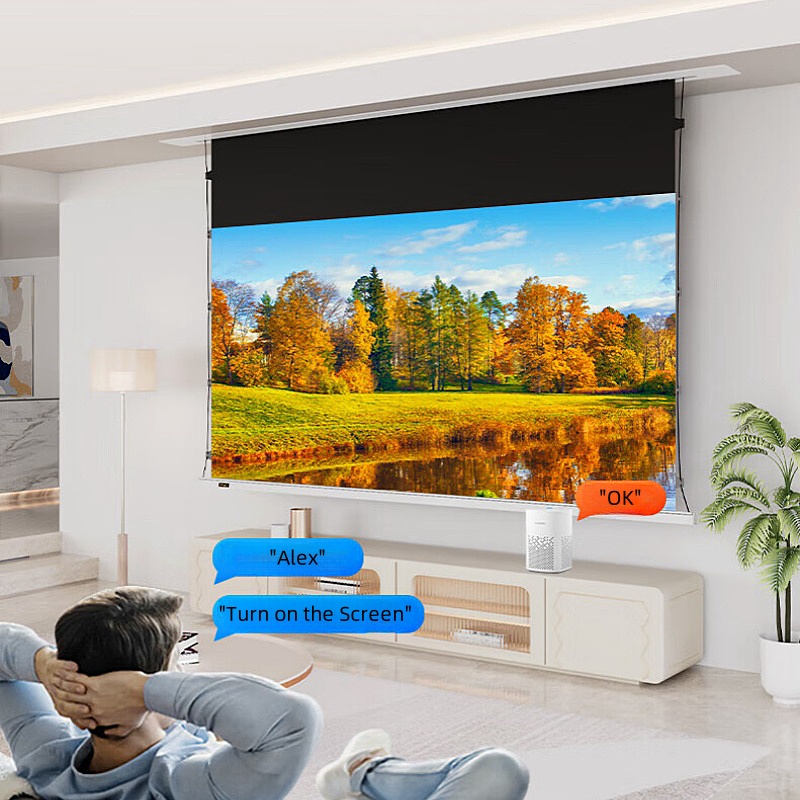 Alr Ambient Light Rejecting Projector Screen - 16:9 Motorized Ceiling Recessed Tab-Tensioned Projector