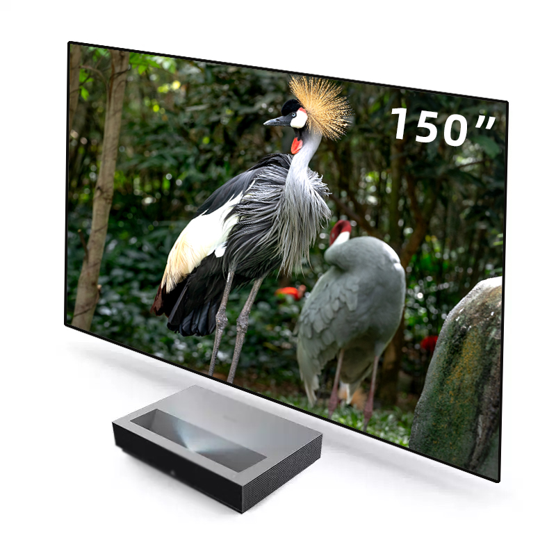 2026 HOT ALR PET Crystal Black - đánh giá và giá Alr Ambient Light Rejecting Projector Screen