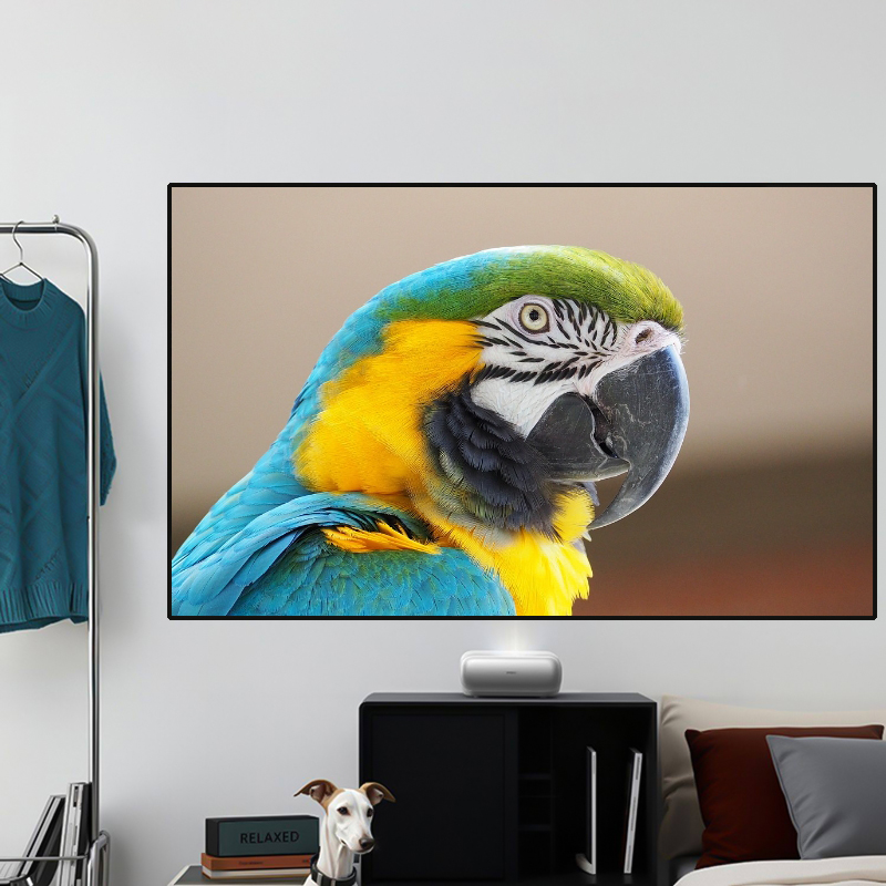 2026 HOT ALR PET Crystal Black - đánh giá và giá Alr Ambient Light Rejecting Projector Screen