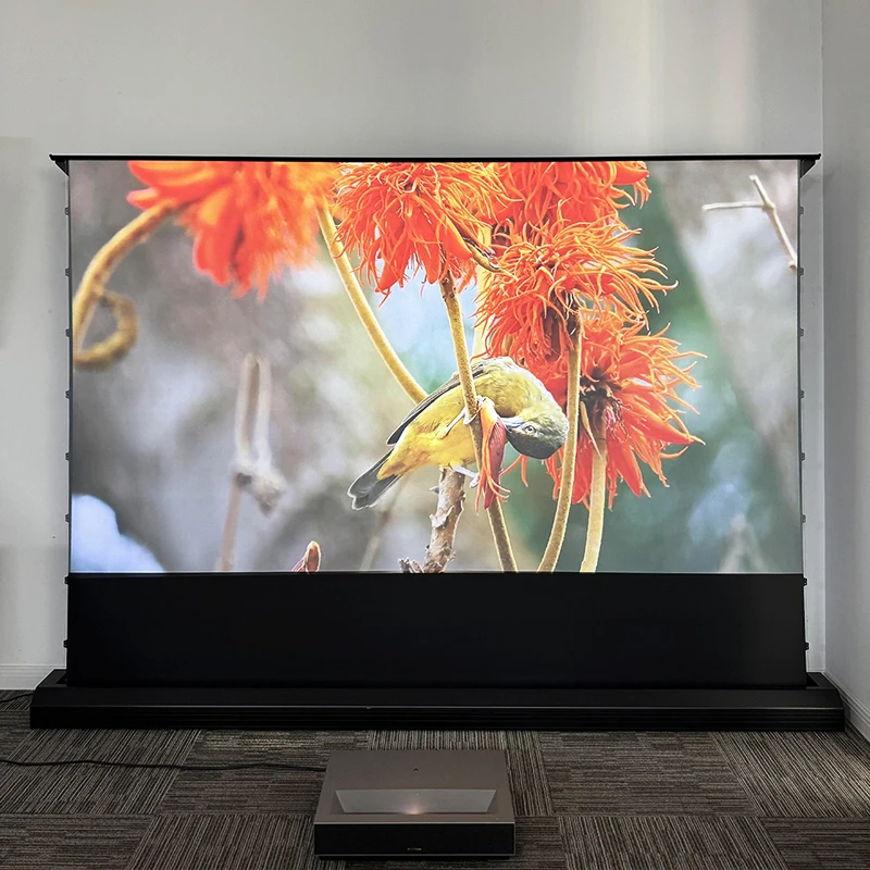 120 Inch Electric Floor Rising - đánh giá và giá Projector Screen 120 Inch Motorized Ambient