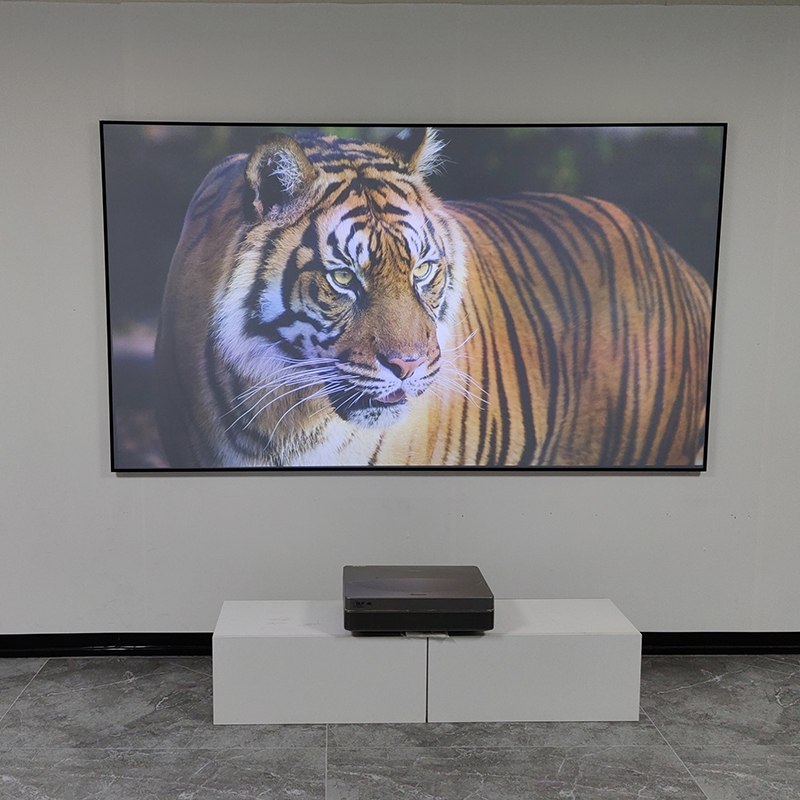 VisualMr Black Grid ALR UST Pr - đánh giá và giá Alr Ambient Light Rejecting Projector Screen