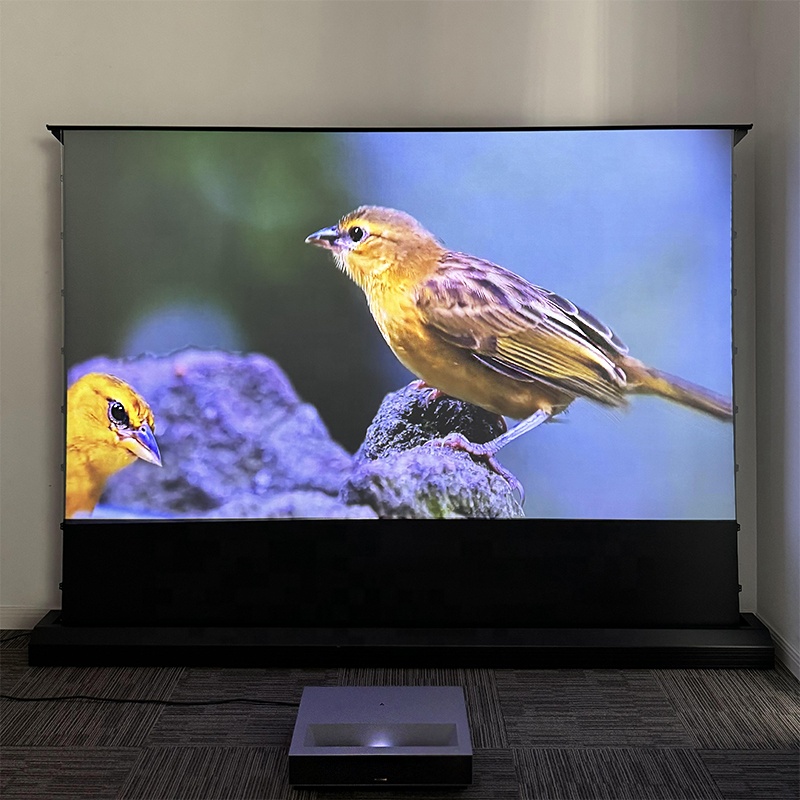120 Inch Motorized Floor Risin - đánh giá và giá Alr Ambient Light Rejecting Projector Screen